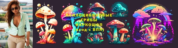 дурь Вяземский