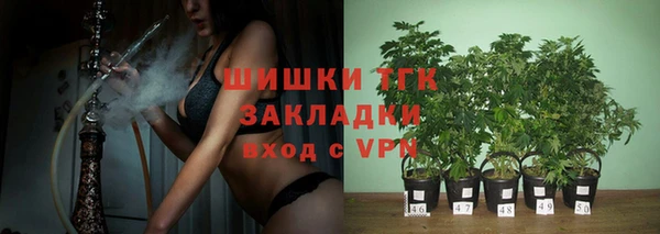 дурь Вяземский