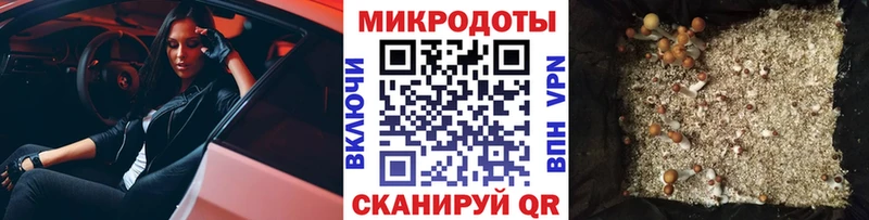 Псилоцибиновые грибы ЛСД  Купить где  Верещагино 
